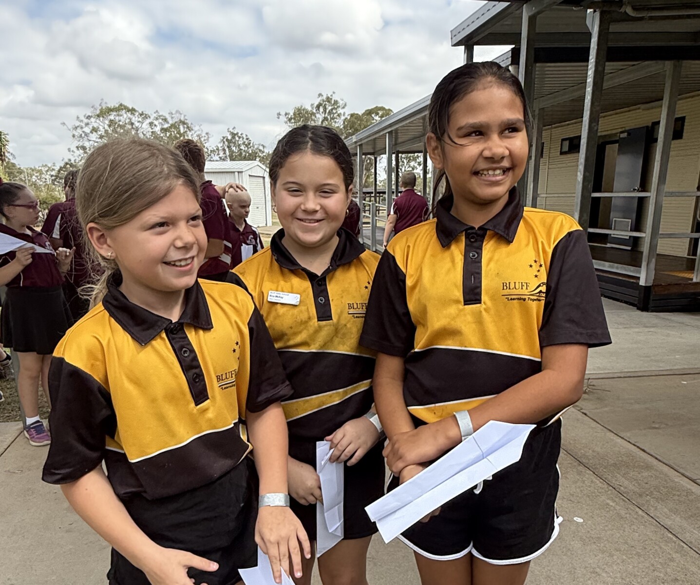 Dingo SS Mining Big Ideas_cropped